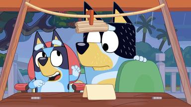 Bluey 1x25