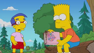 Los Simpson 32x12
