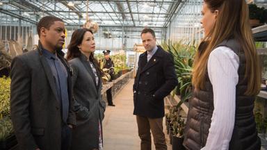 Elementary 3x23