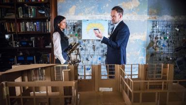 Elementary 6x14