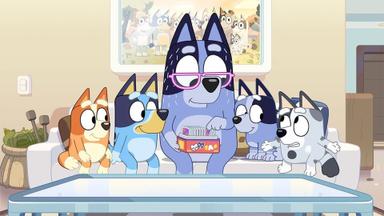 Bluey 2x11