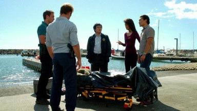 Hawaii Five-0 2x8