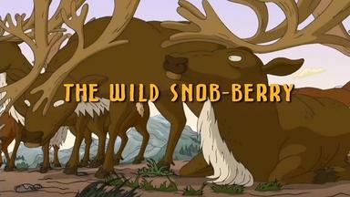 Los Thornberrys 5x1
