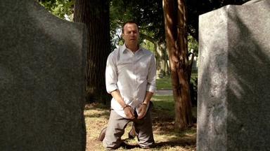 Códigos de familia 3x1