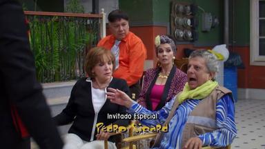 Vecinos 4x8