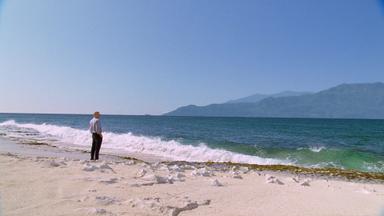 Lost 5x7