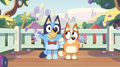 Bluey 2x19