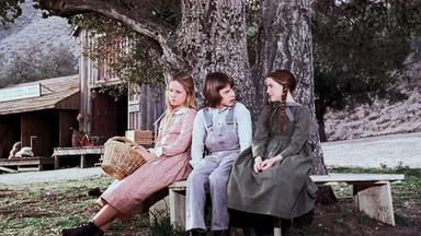 La familia Ingalls 3x20