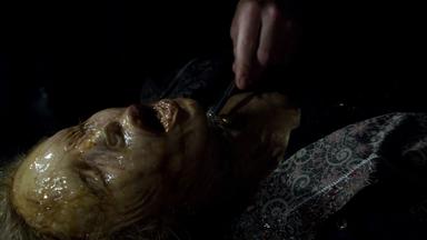 Fringe 4x17