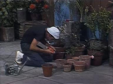 El Chavo 6x9