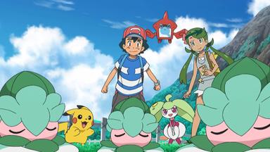 Pokémon 20x35