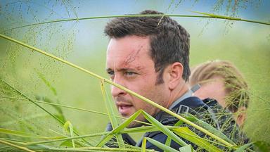 Hawaii Five-0 5x13
