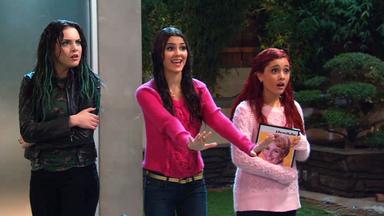 Victorious 3x5