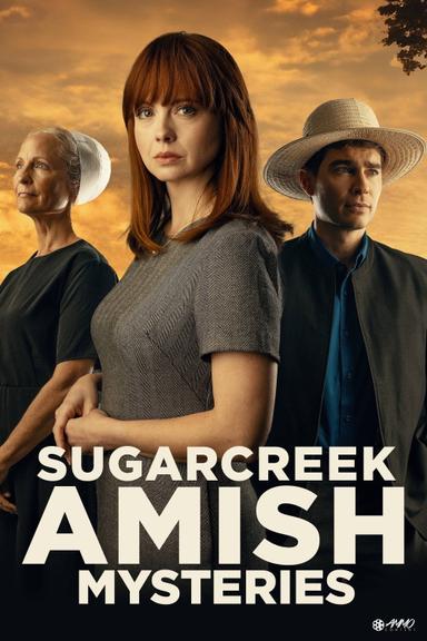 Misterios Amish de Sugar Creek: Bendición disfrazada