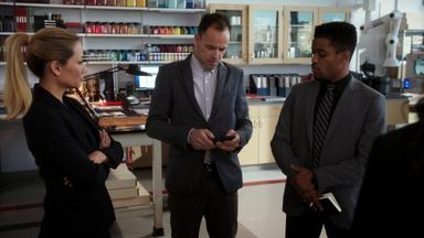 Elementary 7x7