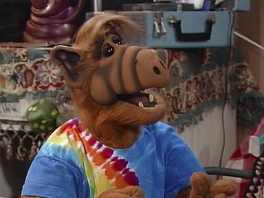 ALF 4x8
