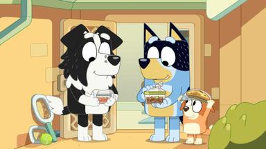 Bluey 3x9