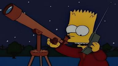 Los Simpson 6x14