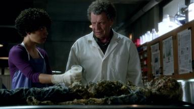 Fringe 4x3