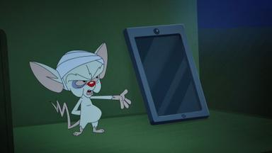 Animaniacs 1x15