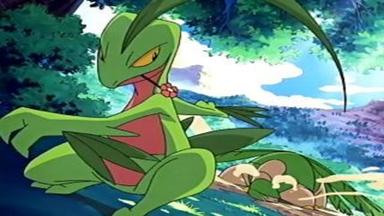 Pokémon 9x16