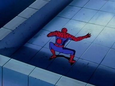El Hombre Araña 3x5