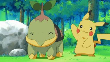 Pokémon 10x5