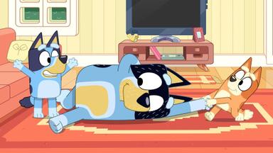 Bluey 3x25