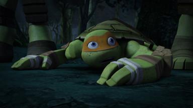 Las Tortugas Ninja 3x8