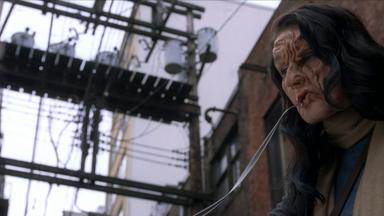 Fringe 3x11