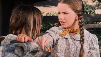 La familia Ingalls 2x15