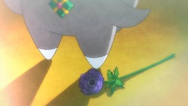 Pokémon 17x14