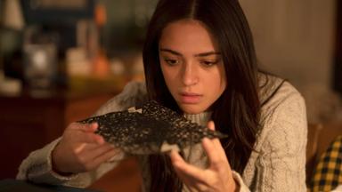 Manifiesto 3x12