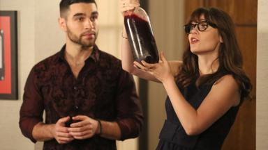 New Girl 6x9