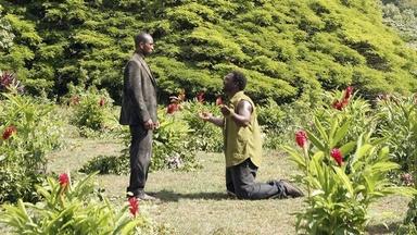 Lost 3x5