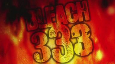 Bleach 1x333