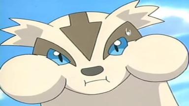 Pokémon 8x20