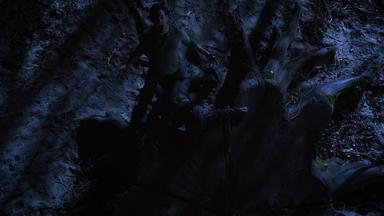 Lobo Adolescente 3x12
