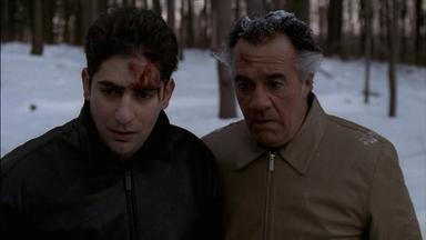 Los Soprano 3x11