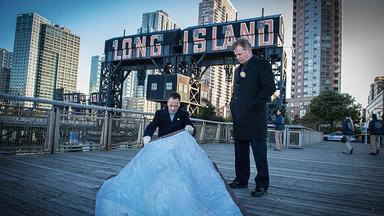 Elementary 3x10