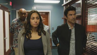 Hawaii Five-0 10x7