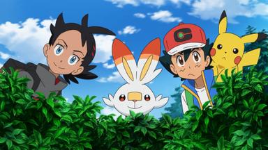 Pokémon 23x6