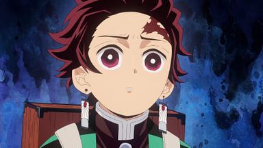 Demon Slayer: Kimetsu no Yaiba 4x2