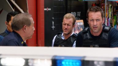 Hawaii Five-0 7x5