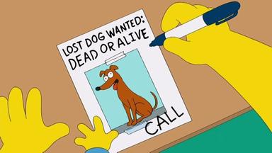 Los Simpson 24x8