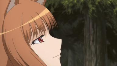 Spice and Wolf 2x1