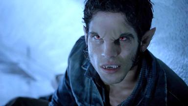 Lobo Adolescente 5x1