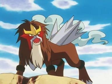 Pokémon 5x50