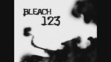 Bleach 1x123