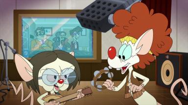 Animaniacs 2x40